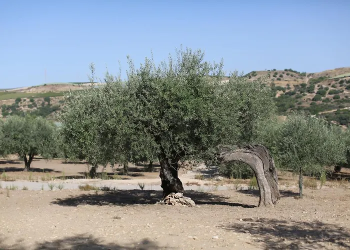 Relais Chiaramonte Resort Ragusa