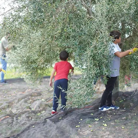 אתר נופש Relais Chiaramonte רגוזה