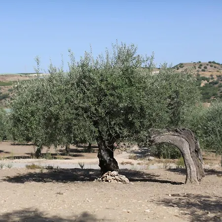 Relais Chiaramonte אתר נופש רגוזה